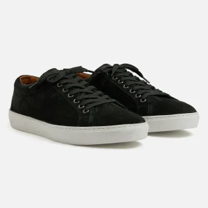 Basket Malibu Conifer